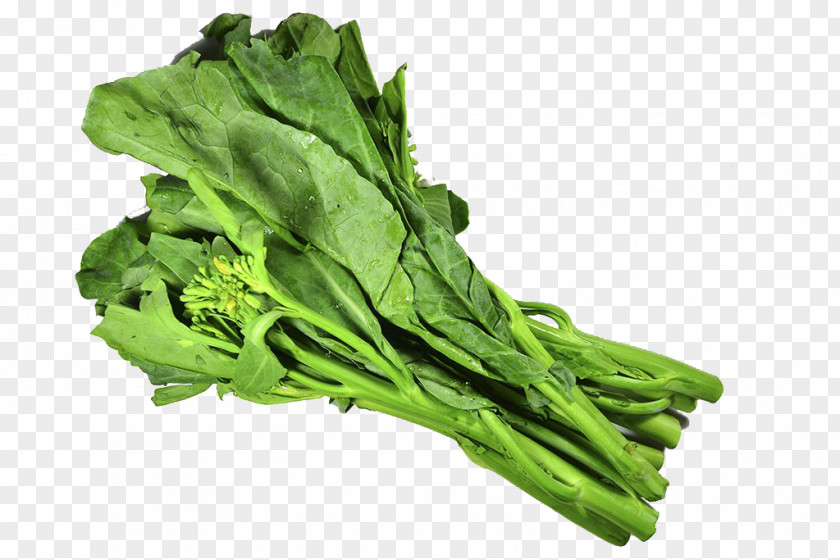 Free Kale Pull Material Pizza Chinese Broccoli Vegetarian Cuisine Chard PNG