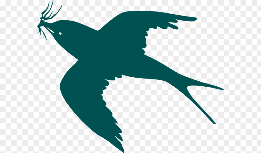 Frigate Bird Tattoo Flight Silhouette Clip Art PNG