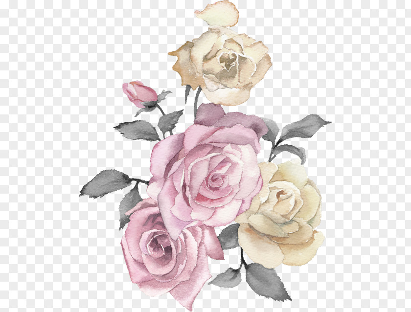 Garden Roses PNG