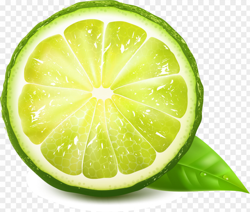 Green Fresh Lemon Juice Euclidean Vector PNG