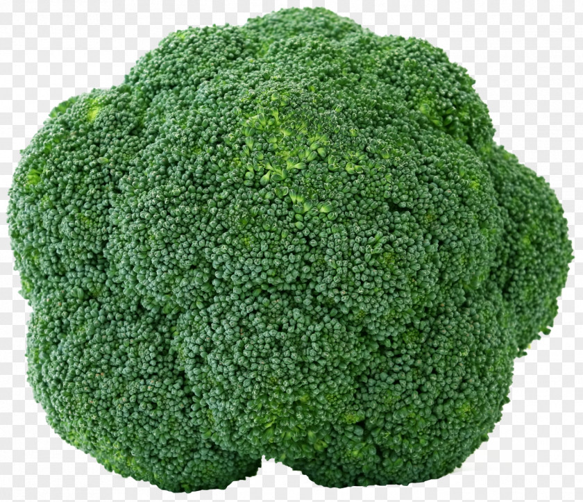 Broccoli Organic Food Indian Cuisine Vegetable Fruit PNG