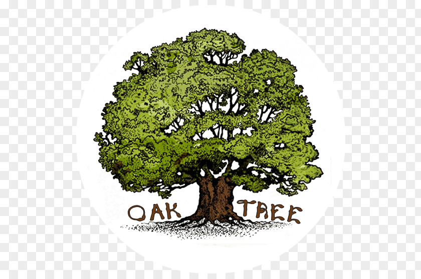 Circle Tree Oak Royalty-free PNG