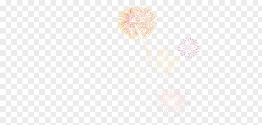 Color,Fireworks Angle Pattern PNG