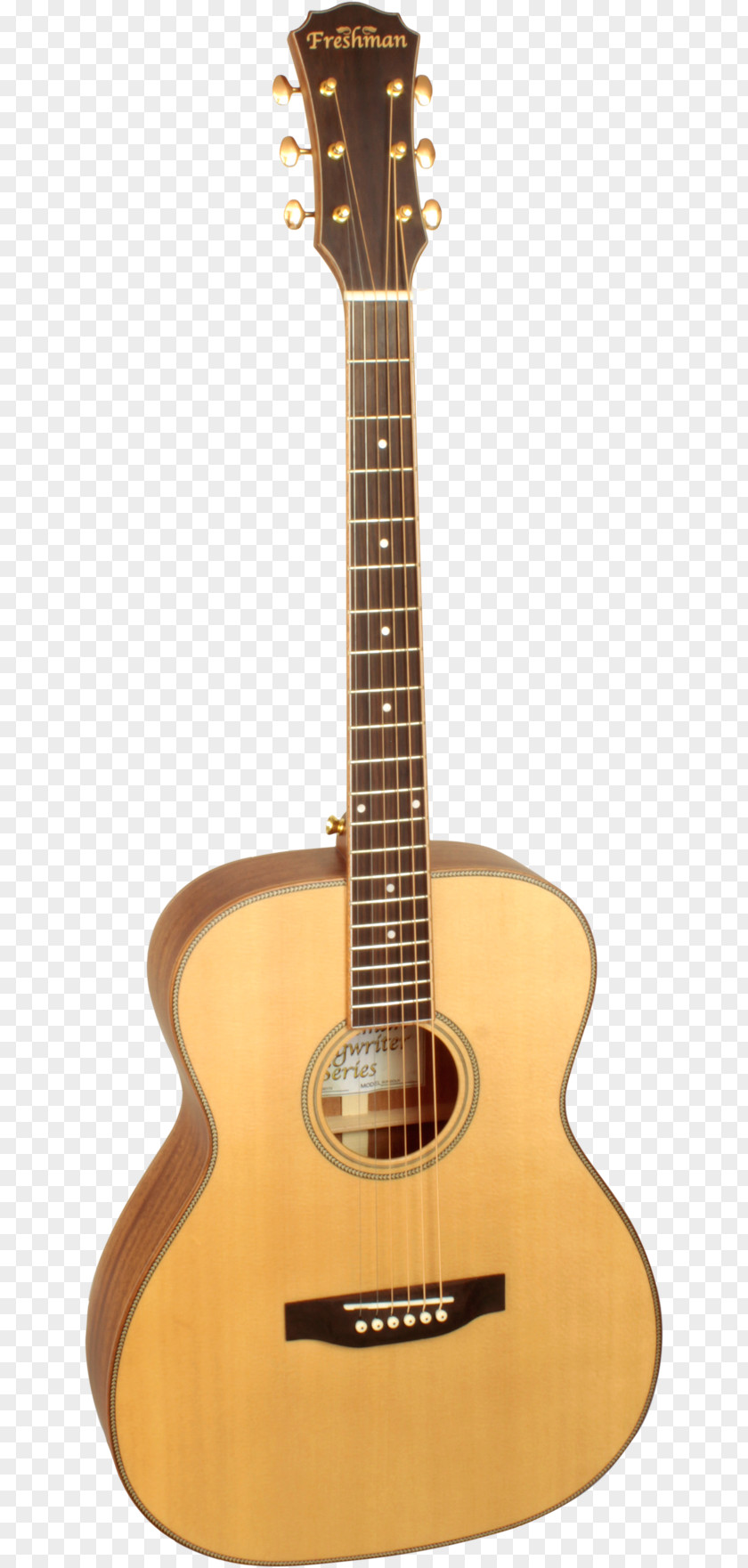 Creative Guitar Twelve-string Acoustic Takamine Guitars Classical PNG