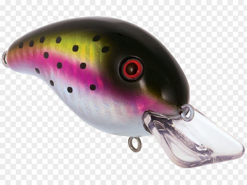 Speckled Spoon Lure Divemaster Baby Bass Fishing Baits & Lures Bony Fishes PNG