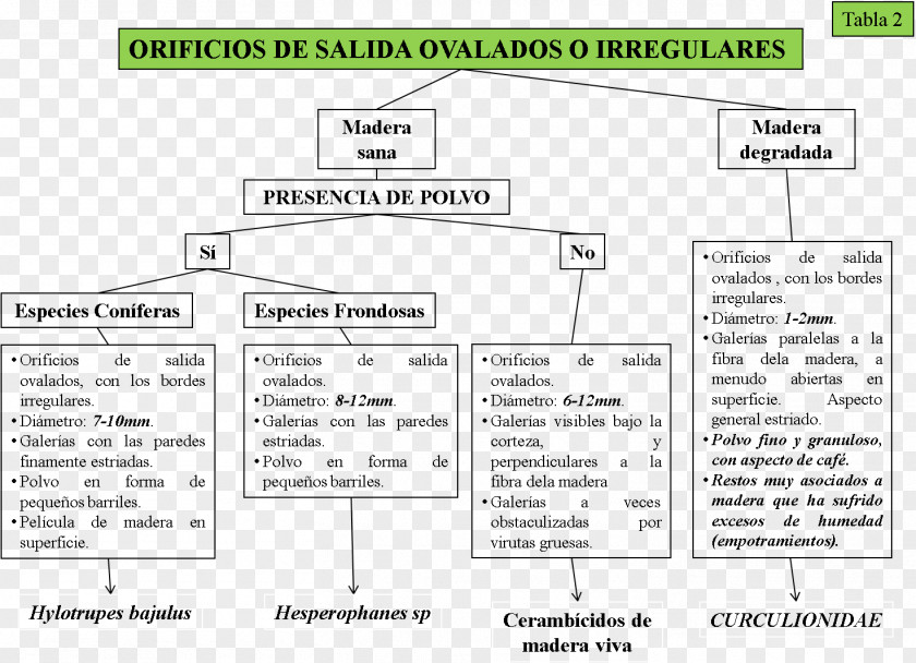 TABLA Document Land Lot Line Angle Black PNG