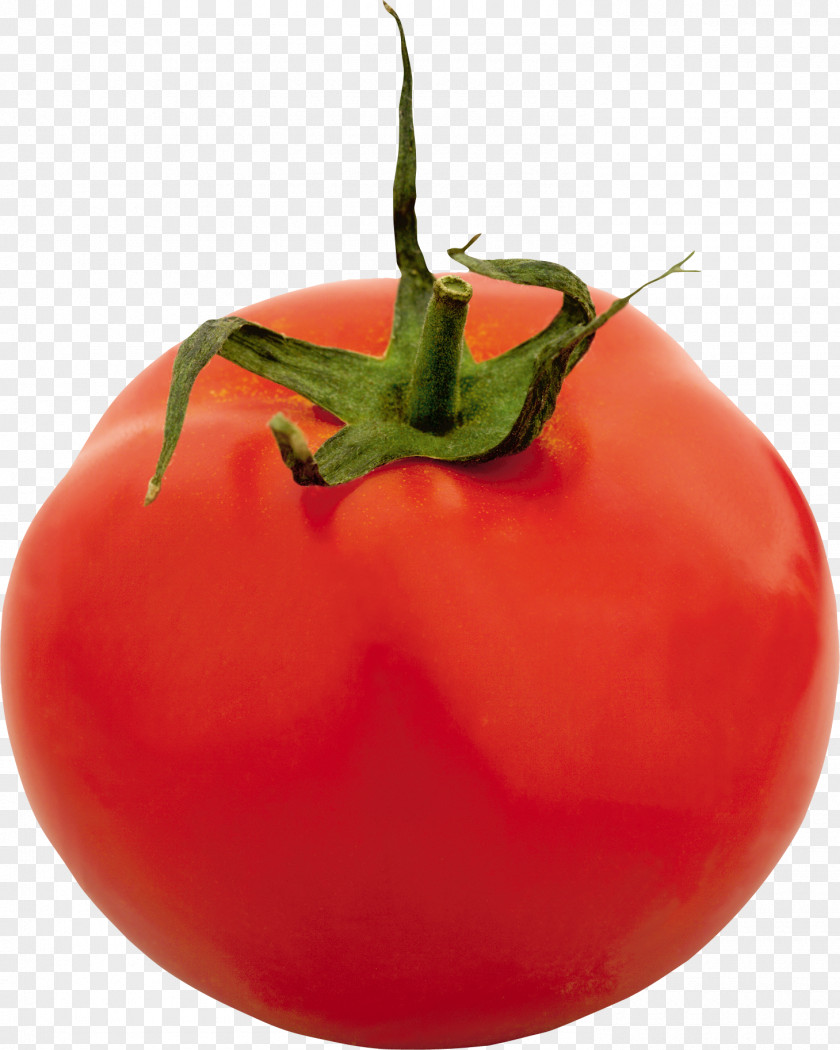Tomato Pesto Soup Pasta Wrap PNG