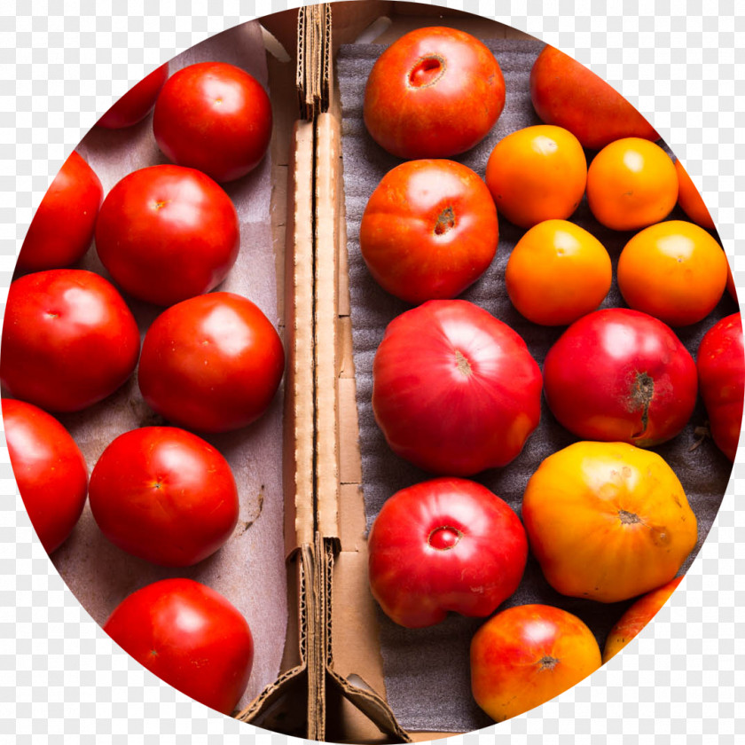 Tomatoes Tomato Refrigerator Wrap Flavr Savr Food PNG