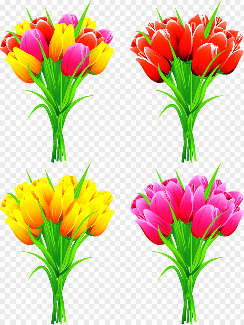 Tulip Flower Bouquet Euclidean Vector Floral Design PNG