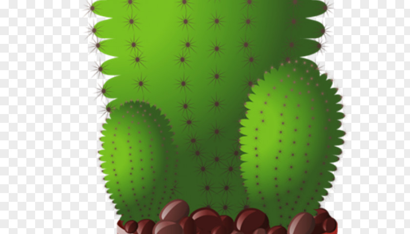 Carton Seedling Happy Cactus: Cacti, Succulents, And More Clip Art Openclipart PNG