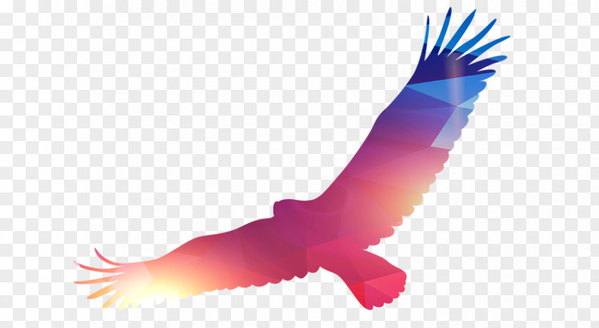 Eagle Decoration Creative Design Bird Business Illustration PNG