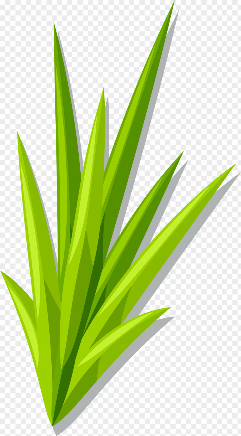 Green Cartoon Grass PNG