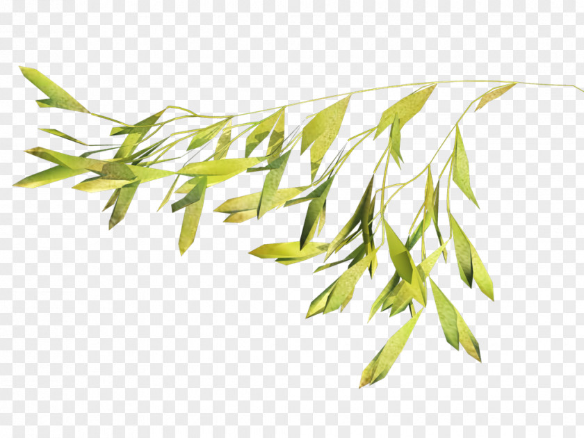 Leaf Twig PNG