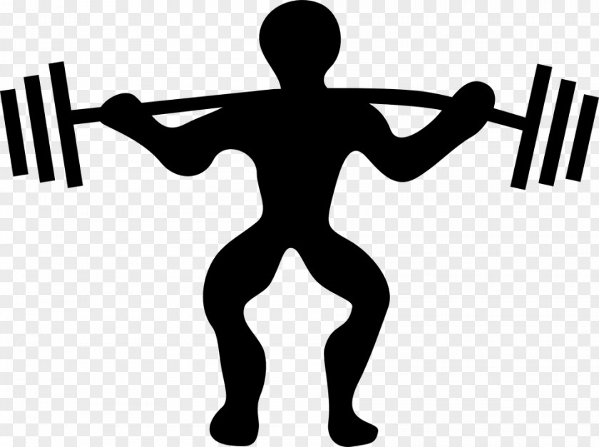 Tree Swing Olympic Weightlifting Weight Training Clip Art PNG