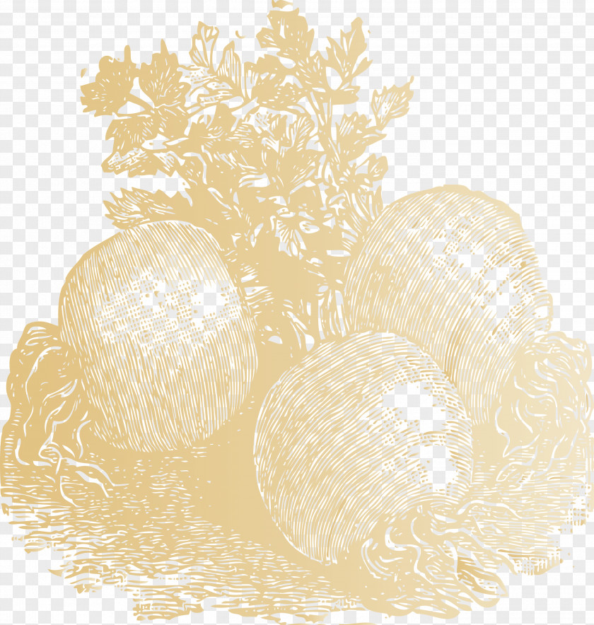 Vegetable PNG