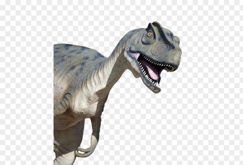 Dinosaur Tyrannosaurus Life-Size Dinosaurs Velociraptor Golf PNG