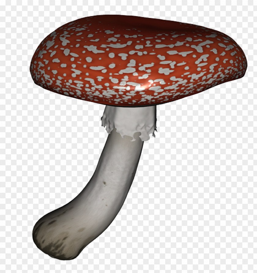 Mushroom Clip Art Image Design PNG