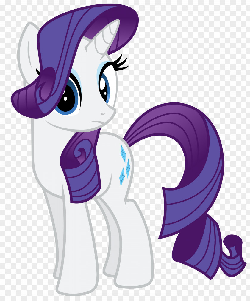 My Little Pony Rarity Twilight Sparkle Pinkie Pie Derpy Hooves PNG