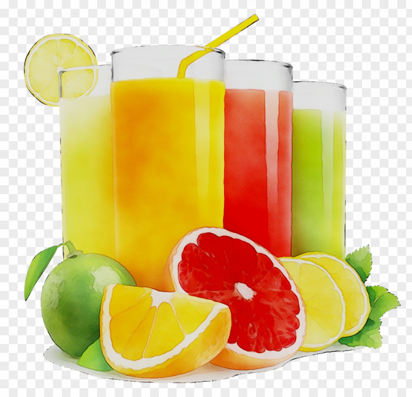 Orange Juice Fruit Juicer PNG