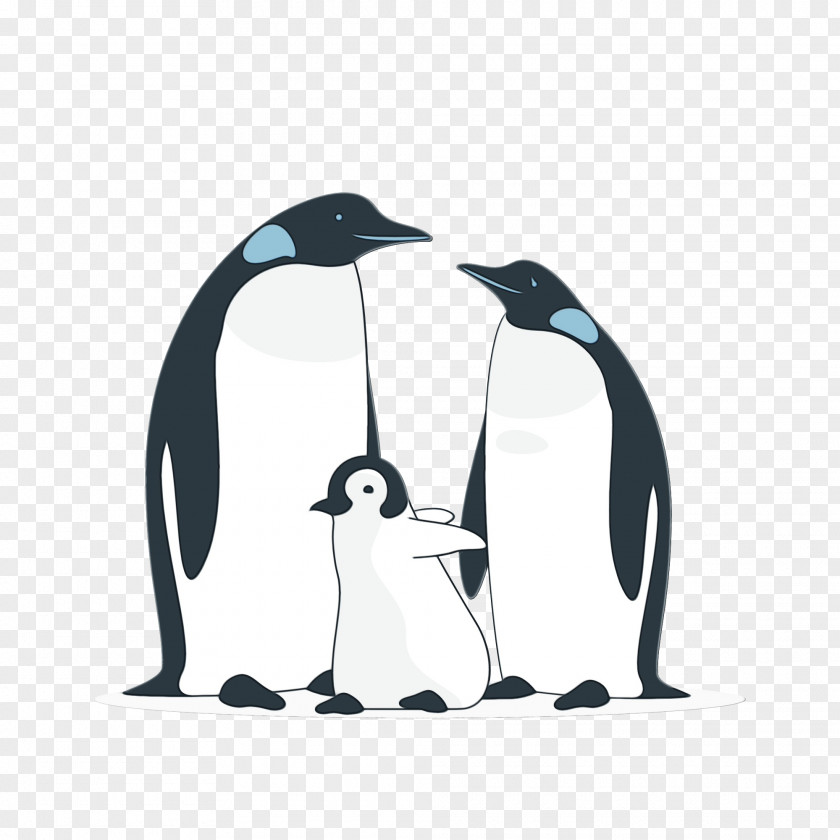Penguins King Penguin Birds Drawing PNG