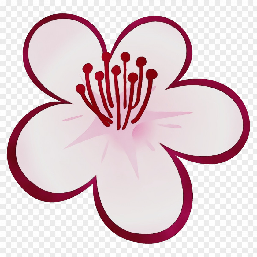 Pink Petal Magenta Flower Plant PNG
