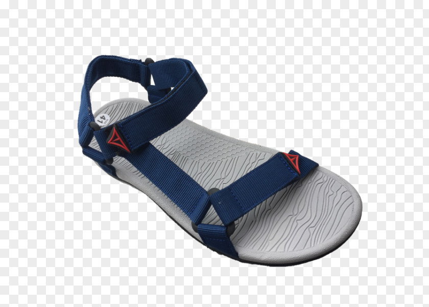 Sandal Slipper Shoe Sneakers Flip-flops PNG