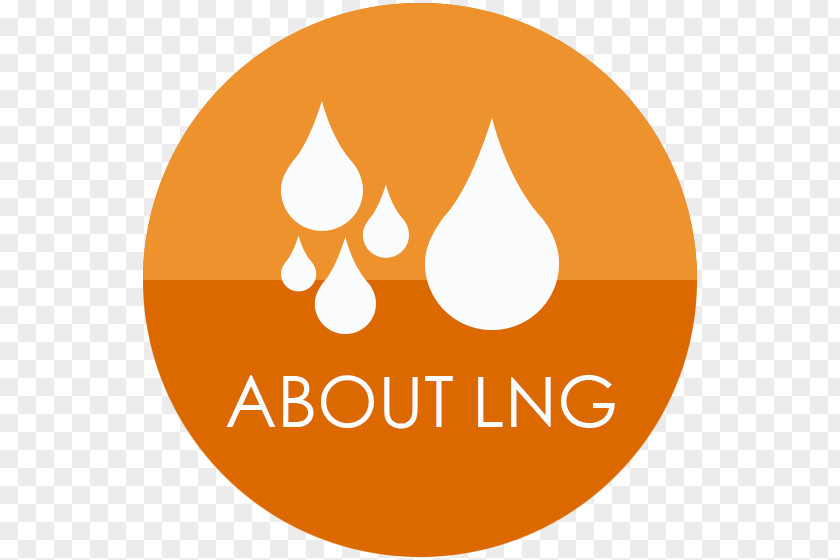 Business Liquefied Natural Gas Organization Logo PNG