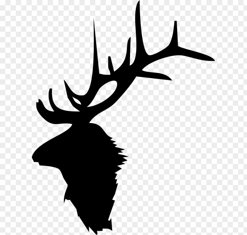 Deer Elk Moose Antler Clip Art PNG