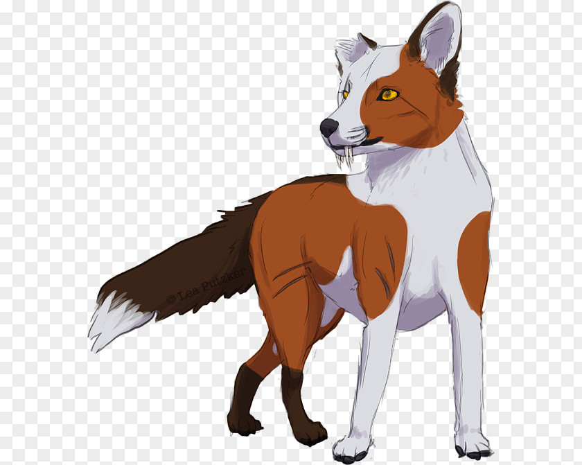 Dog Red Fox Breed Fur Snout PNG