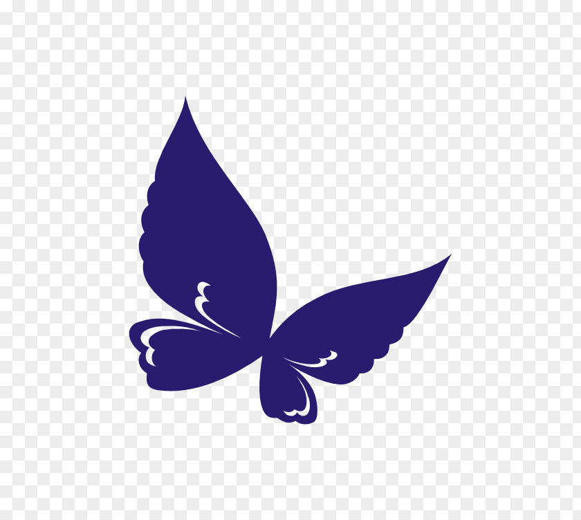 Flower Vector Butterfly Clip Art PNG