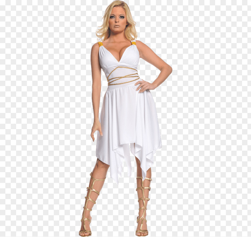Goddess Costume Greek Adult Clothing Dress Halloween PNG