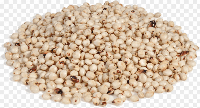 Pea Lentil Food Cereal Porridge Split PNG