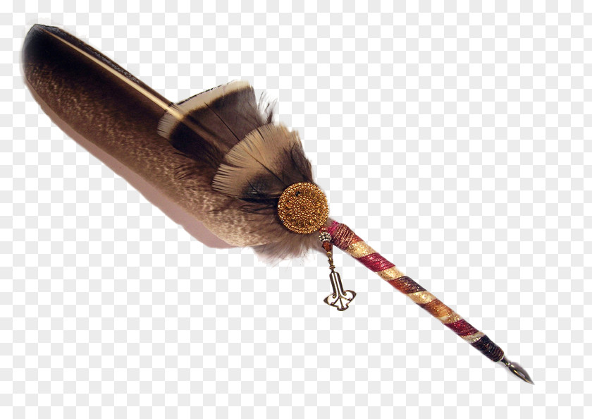 Peacock Feather Insect Quill PNG