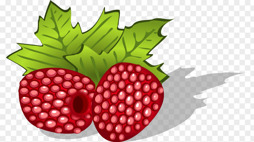 Raspberry Cliparts Blue Flavor Clip Art PNG