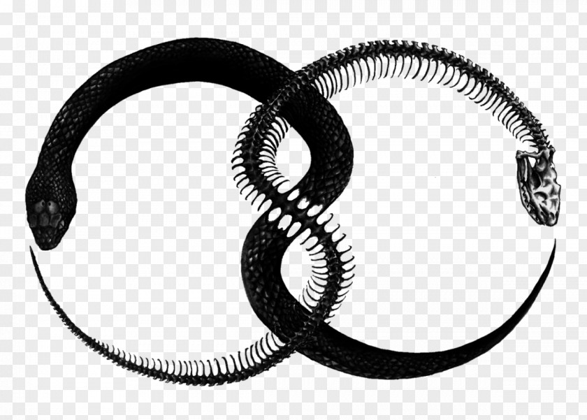 Snake Ouroboros Tattoo Symbol Alchemy PNG