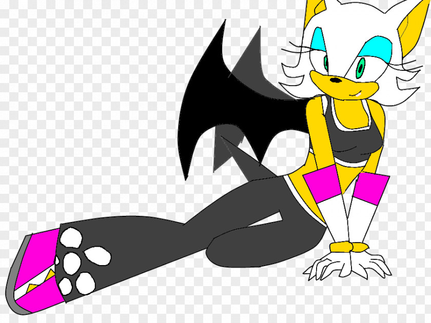 Sonic Free Riders Riders: Zero Gravity Rouge The Bat PNG