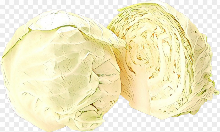 Vegetable Iceburg Lettuce Cabbage Food Wild Side Dish PNG