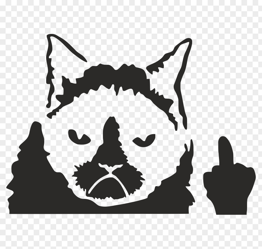 Car Bumper Sticker Decal Grumpy Cat PNG