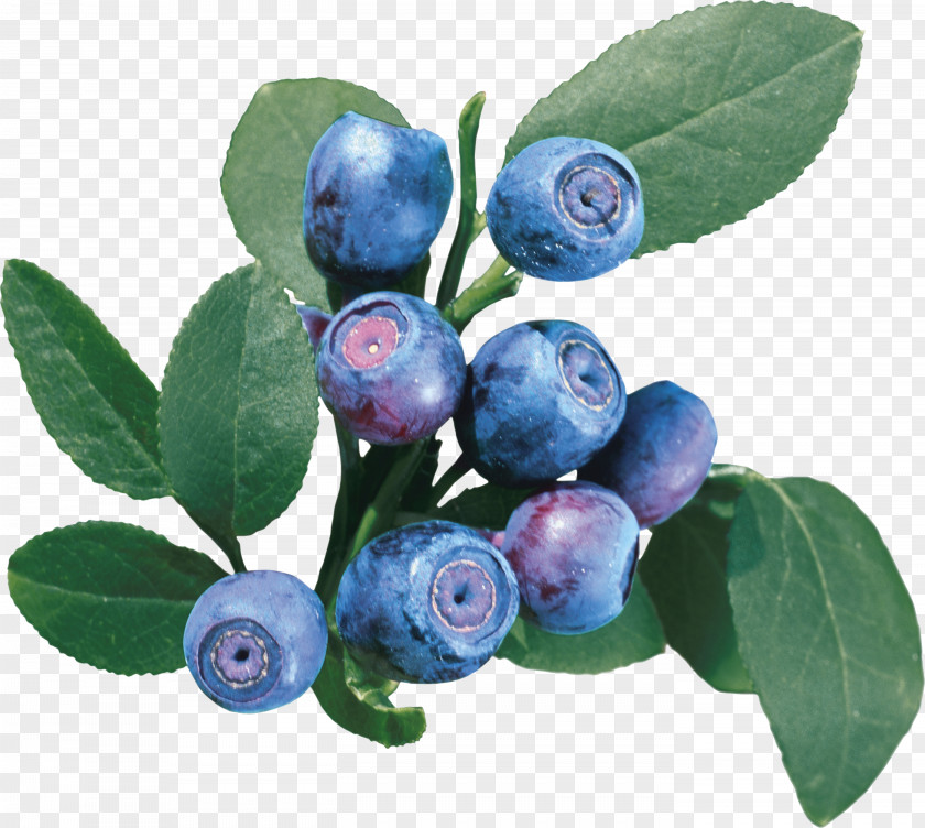 Cranberry Varenye Bilberry European Blueberry Vaccinium Uliginosum PNG