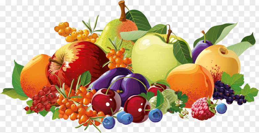 Fruit And Vegetable Border Vegetarian Cuisine Berry Food Drawing PNG