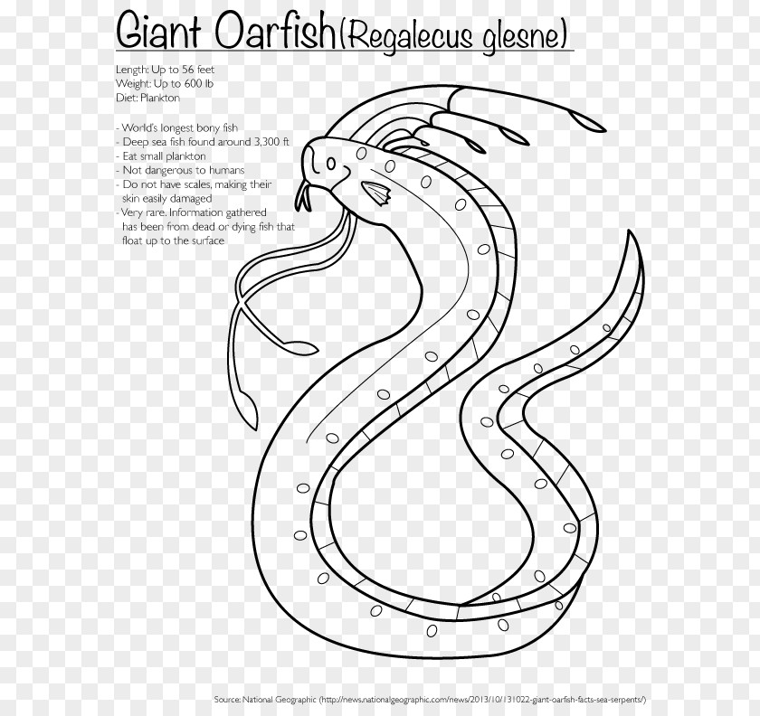 Giant Oarfish Coloring Book Drawing Bony Fishes Animals That Hibernate PNG