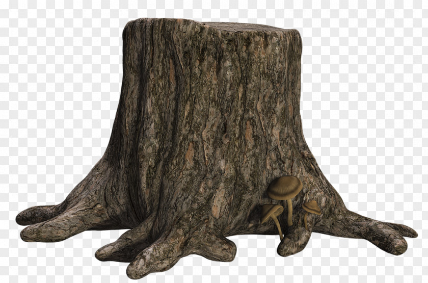 Stump Tree Trunk PNG