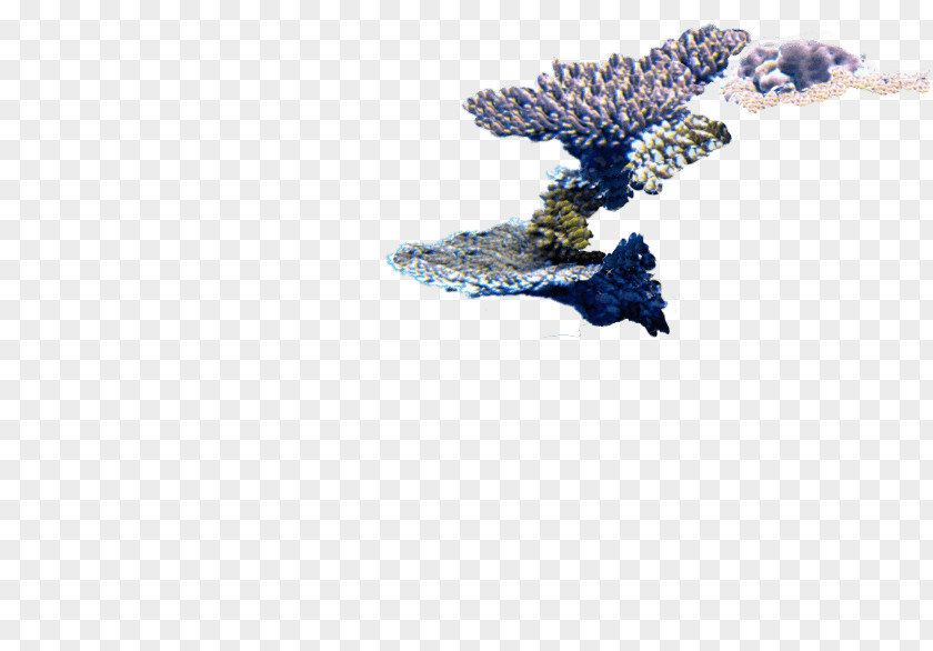 Tree Lavender PNG