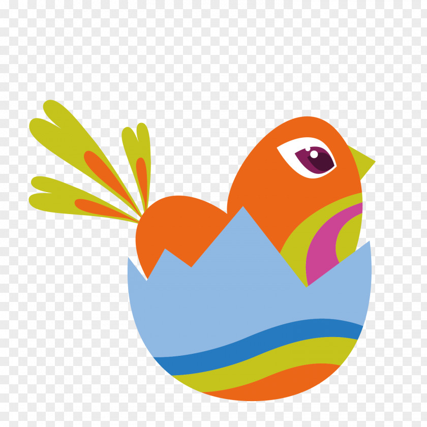 Vector Red Bird Colored Egg Shell Eggshell Illustration PNG