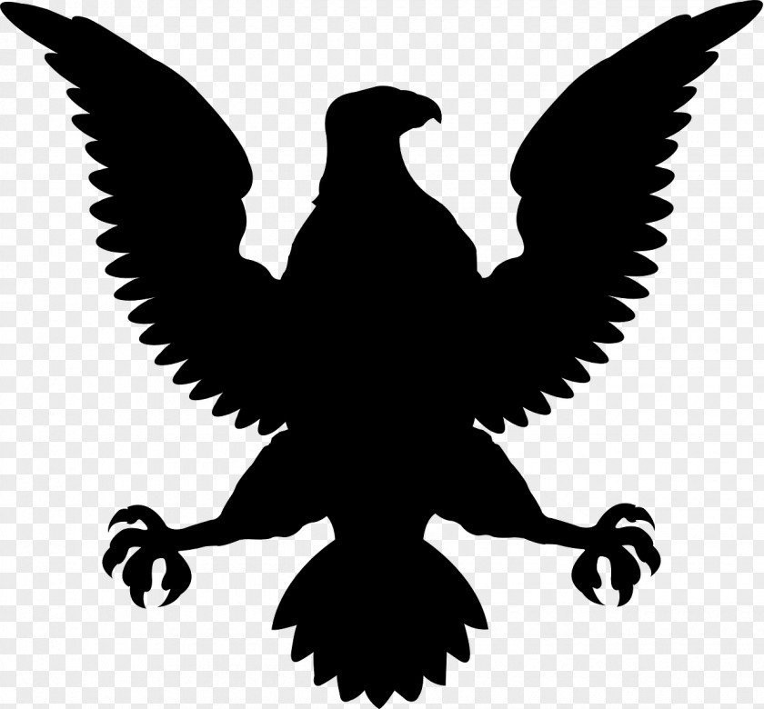 Vulture Symbol Eagle Logo PNG