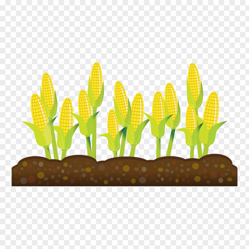 Agriculture Cliparts Crop Farm Field Clip Art PNG