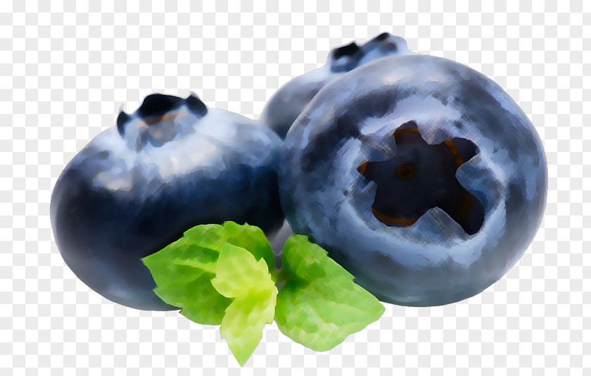 Blueberry Fruit Flavor Marmalade Bilberry PNG