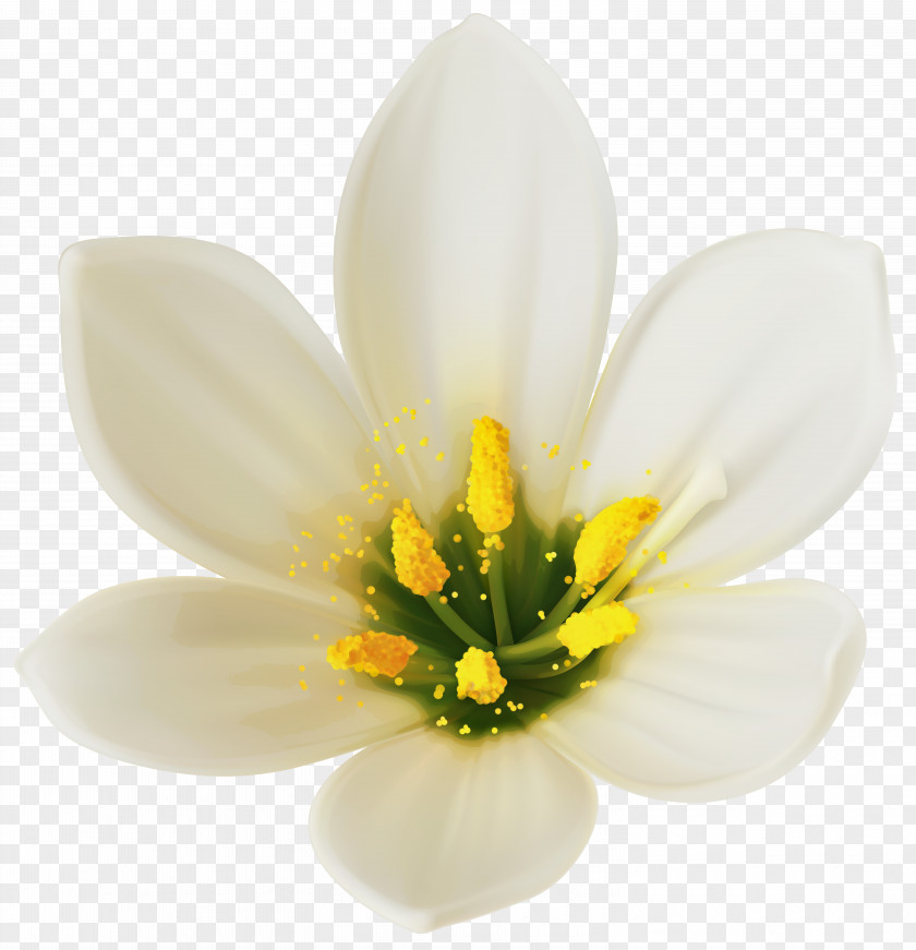 White Flower Clipart Image Bouquet Clip Art PNG