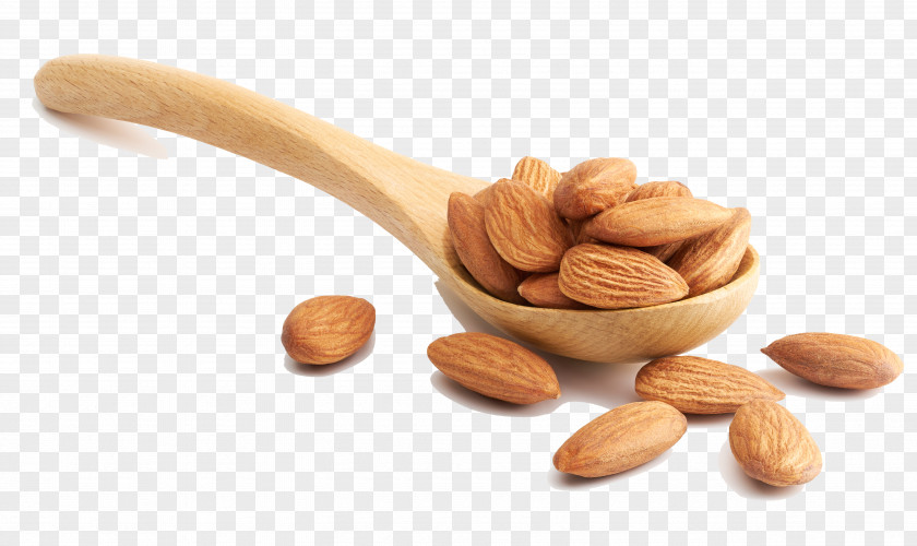 Almond-kind Photography Almond Nut Stock Illustration PNG