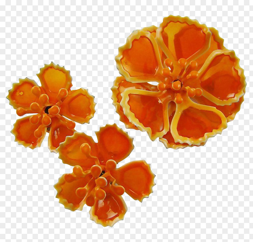 Blood Orange Cut Flowers Petal PNG